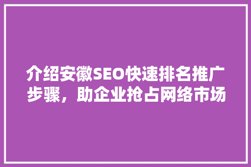 介绍安徽SEO快速排名推广步骤，助企业抢占网络市场制高点