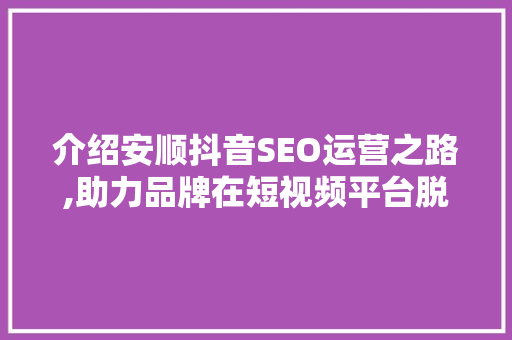 介绍安顺抖音SEO运营之路,助力品牌在短视频平台脱颖而出