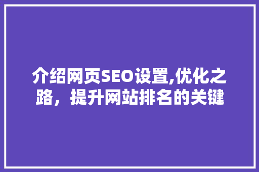 介绍网页SEO设置,优化之路，提升网站排名的关键