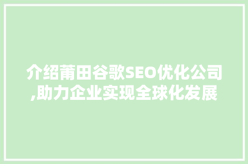 介绍莆田谷歌SEO优化公司,助力企业实现全球化发展的秘密武器 网站优化