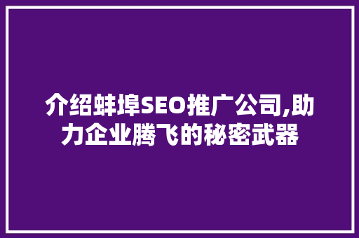 介绍蚌埠SEO推广公司,助力企业腾飞的秘密武器