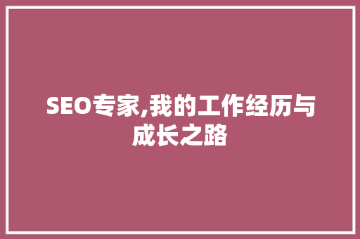 SEO专家,我的工作经历与成长之路