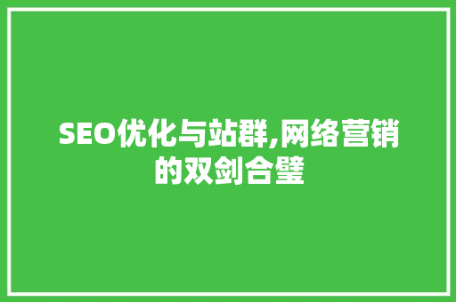 SEO优化与站群,网络营销的双剑合璧