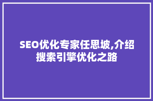 SEO优化专家任思坡,介绍搜索引擎优化之路