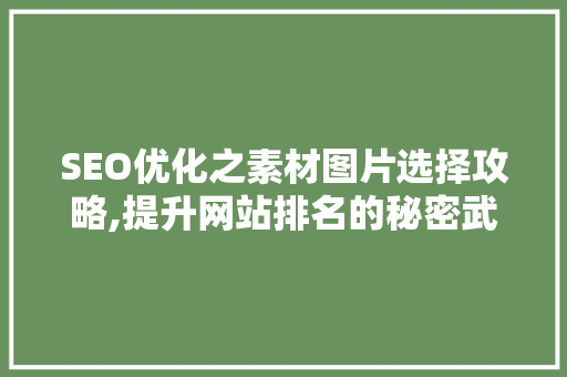SEO优化之素材图片选择攻略,提升网站排名的秘密武器