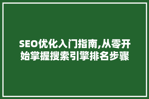 SEO优化入门指南,从零开始掌握搜索引擎排名步骤