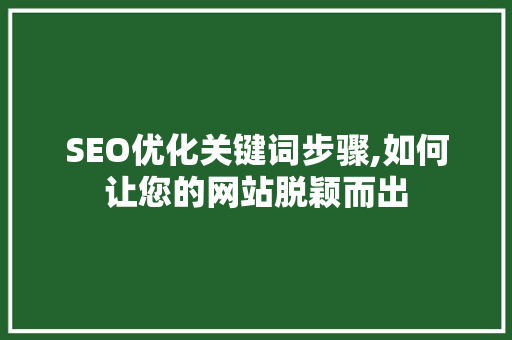 SEO优化关键词步骤,如何让您的网站脱颖而出