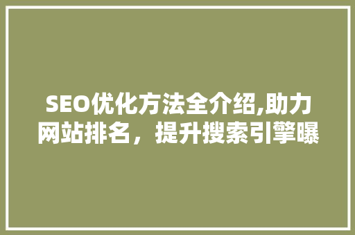 SEO优化方法全介绍,助力网站排名，提升搜索引擎曝光度 小程序开发