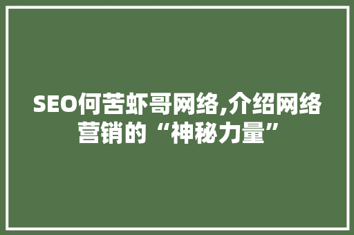 SEO何苦虾哥网络,介绍网络营销的“神秘力量”