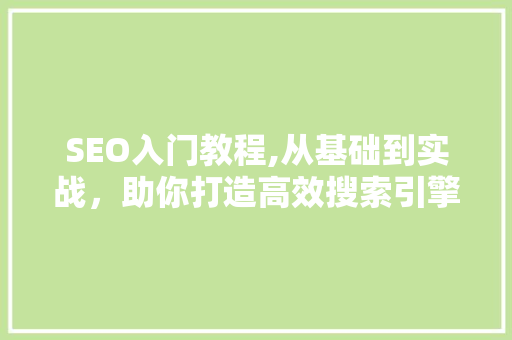 SEO入门教程,从基础到实战，助你打造高效搜索引擎优化步骤