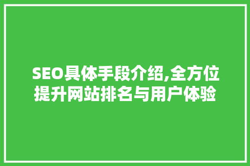 SEO具体手段介绍,全方位提升网站排名与用户体验 360搜优化