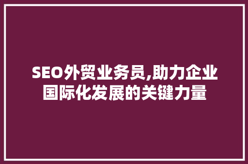 SEO外贸业务员,助力企业国际化发展的关键力量 网站开发