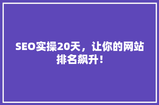 SEO实操20天，让你的网站排名飙升！