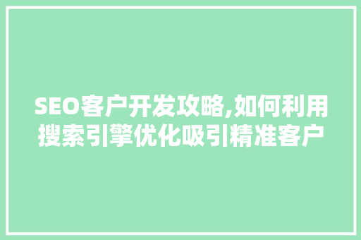 SEO客户开发攻略,如何利用搜索引擎优化吸引精准客户