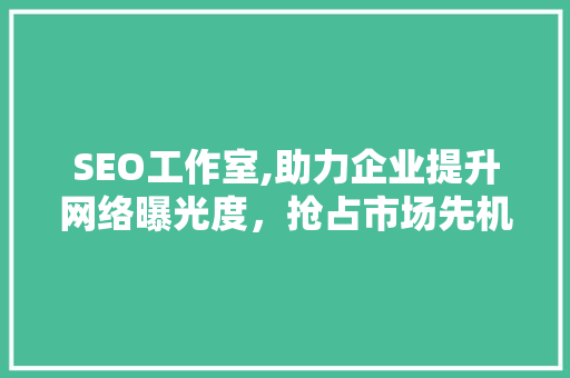 SEO工作室,助力企业提升网络曝光度，抢占市场先机