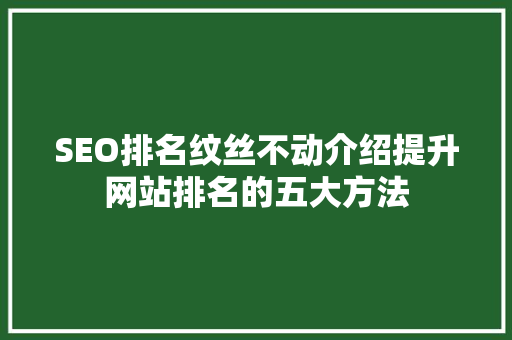 SEO排名纹丝不动介绍提升网站排名的五大方法