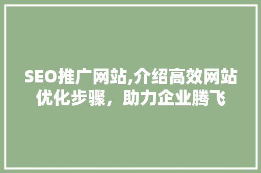 SEO推广网站,介绍高效网站优化步骤，助力企业腾飞 搜狗优化