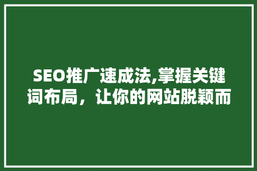 SEO推广速成法,掌握关键词布局，让你的网站脱颖而出