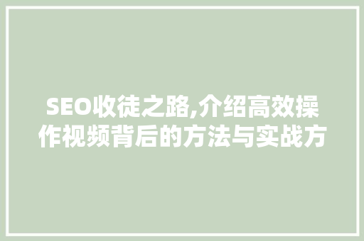 SEO收徒之路,介绍高效操作视频背后的方法与实战方法
