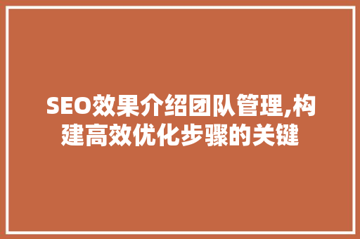 SEO效果介绍团队管理,构建高效优化步骤的关键