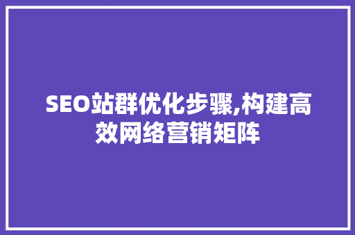 SEO站群优化步骤,构建高效网络营销矩阵