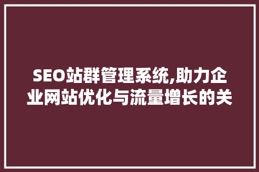 SEO站群管理系统,助力企业网站优化与流量增长的关键利器