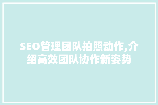SEO管理团队拍照动作,介绍高效团队协作新姿势