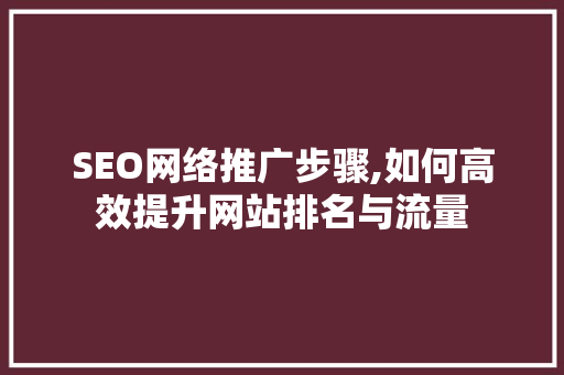 SEO网络推广步骤,如何高效提升网站排名与流量 网站开发