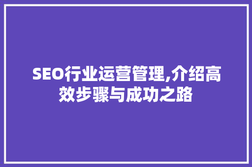 SEO行业运营管理,介绍高效步骤与成功之路