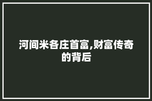 河间米各庄首富,财富传奇的背后 河间米各庄首富,财富传奇的背后 网站优化