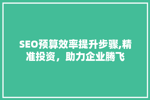 SEO预算效率提升步骤,精准投资，助力企业腾飞