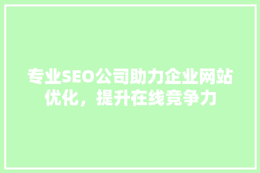 专业SEO公司助力企业网站优化，提升在线竞争力