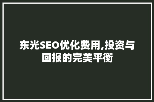 东光SEO优化费用,投资与回报的完美平衡