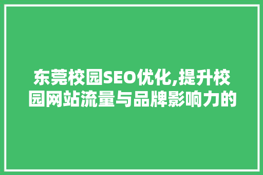 东莞校园SEO优化,提升校园网站流量与品牌影响力的方法
