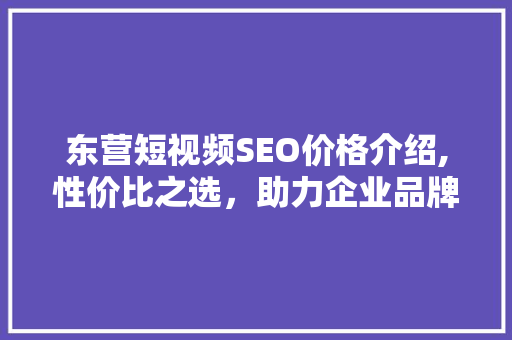 东营短视频SEO价格介绍,性价比之选，助力企业品牌腾飞