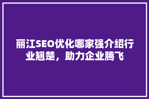 丽江SEO优化哪家强介绍行业翘楚，助力企业腾飞