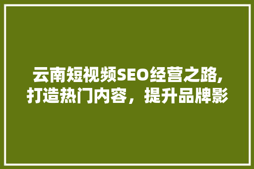 云南短视频SEO经营之路,打造热门内容，提升品牌影响力