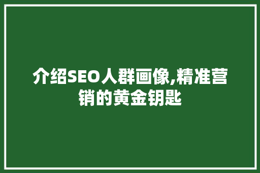 介绍SEO人群画像,精准营销的黄金钥匙 网站优化