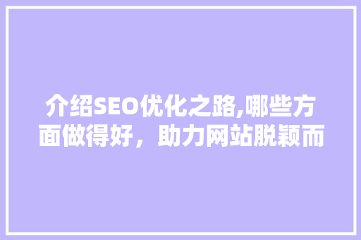 介绍SEO优化之路,哪些方面做得好，助力网站脱颖而出