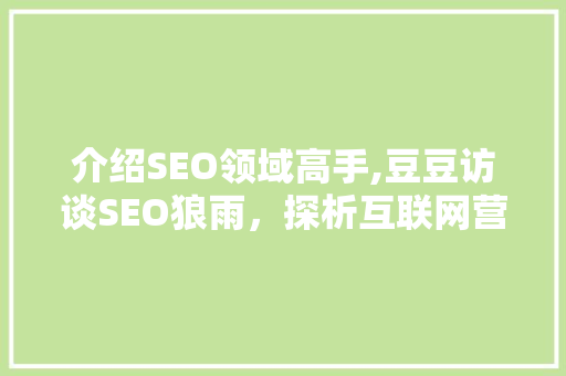 介绍SEO领域高手,豆豆访谈SEO狼雨，探析互联网营销之路
