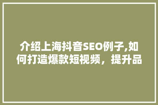 介绍上海抖音SEO例子,如何打造爆款短视频，提升品牌影响力