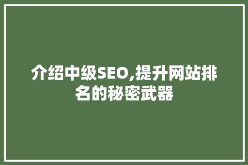 介绍中级SEO,提升网站排名的秘密武器 网站开发