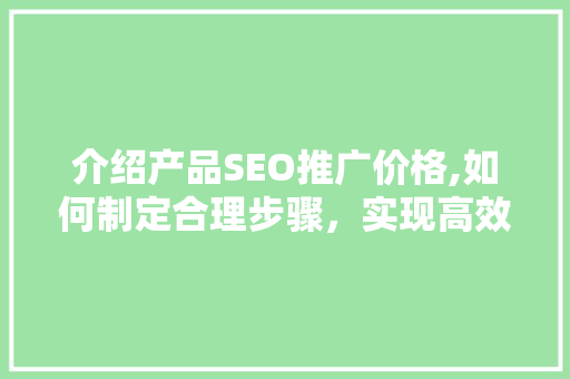 介绍产品SEO推广价格,如何制定合理步骤，实现高效营销 网站开发