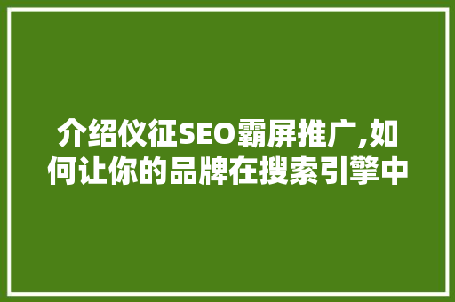 介绍仪征SEO霸屏推广,如何让你的品牌在搜索引擎中脱颖而出 小程序开发