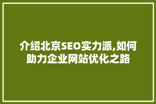 介绍北京SEO实力派,如何助力企业网站优化之路