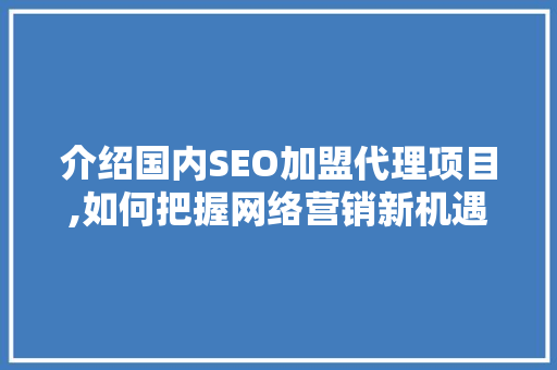 介绍国内SEO加盟代理项目,如何把握网络营销新机遇 网站开发