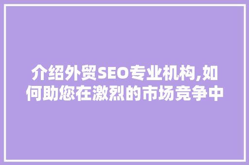 介绍外贸SEO专业机构,如何助您在激烈的市场竞争中脱颖而出