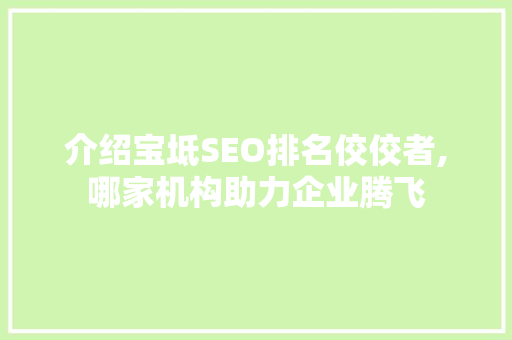 介绍宝坻SEO排名佼佼者,哪家机构助力企业腾飞