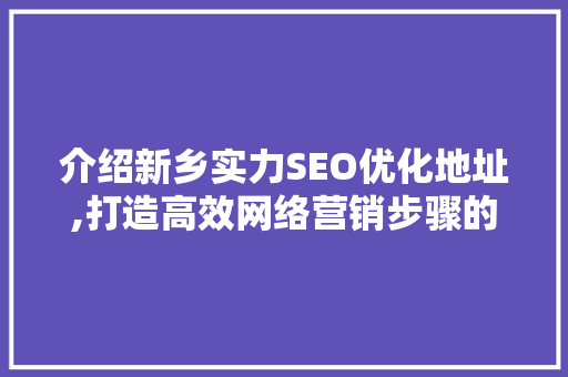 介绍新乡实力SEO优化地址,打造高效网络营销步骤的关键