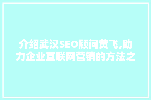 介绍武汉SEO顾问黄飞,助力企业互联网营销的方法之路 百度算法